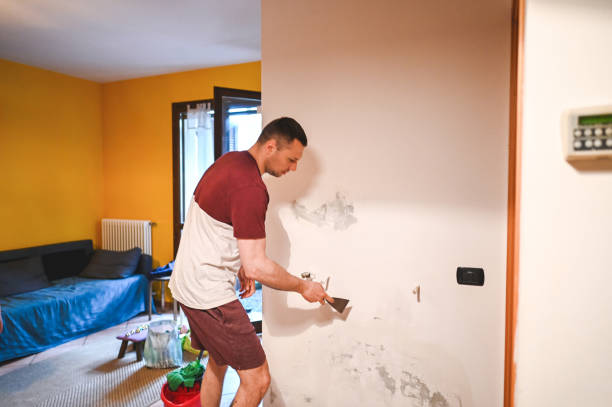 Best Mold Removal Company Near Me  in Newton, MS